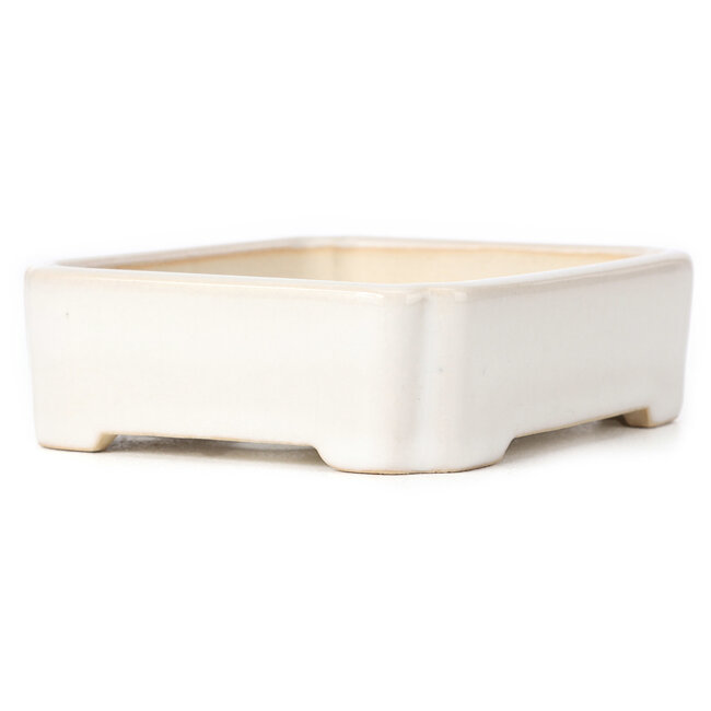 Vaso bonsai rettangolare bianco - 125 x 105 x 35 mm
