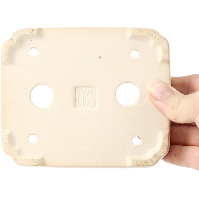 Maceta de bonsái blanca rectangular - 125 x 105 x 35 mm