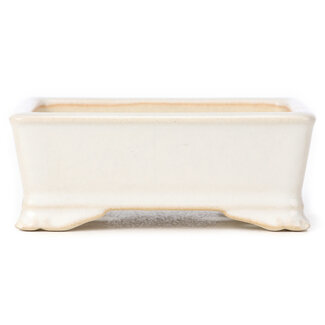 105 mm rectangular white pot from China