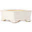 Maceta de bonsái blanca rectangular - 105 x 80 x 45 mm