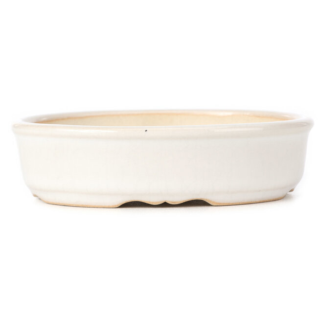 Oval white bonsai pot - 125 x 105 x 35 mm