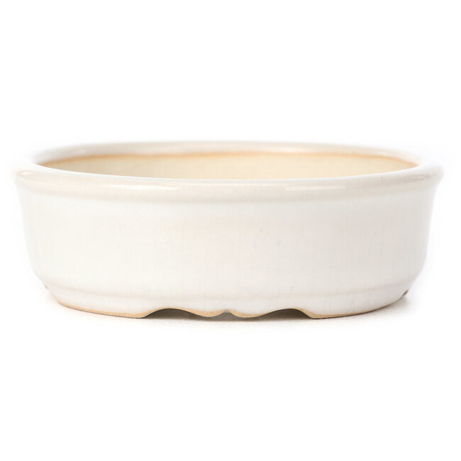 Ovale witte bonsaipot - 125 x 105 x 35 mm