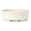 Oval white bonsai pot - 125 x 105 x 35 mm