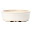 Ovale witte bonsaipot - 125 x 105 x 35 mm