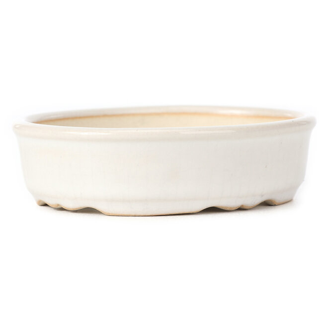 Ovale weiße Bonsaischale - 125 x 105 x 35 mm