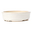 Oval white bonsai pot - 125 x 105 x 35 mm