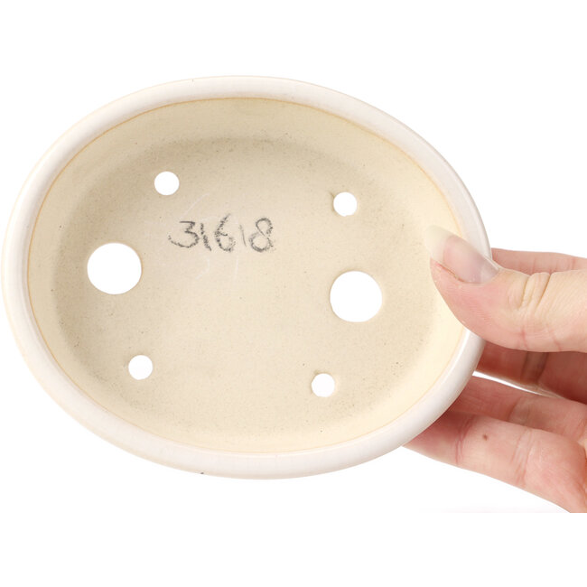 Ovale witte bonsaipot - 125 x 105 x 35 mm