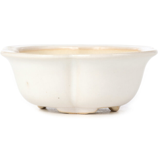 Pot à bonsaï Mokko blanc - 135 x 115 x 45 mm