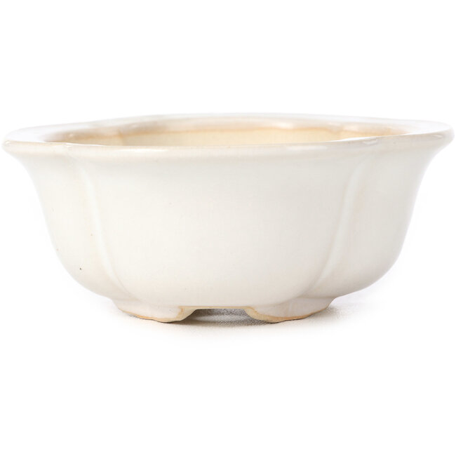 Pot à bonsaï Mokko blanc - 135 x 115 x 45 mm