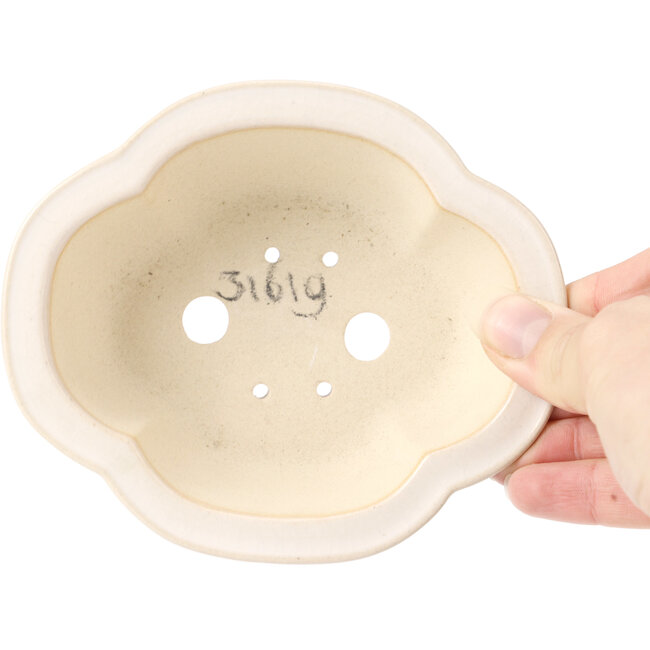 Pot à bonsaï Mokko blanc - 135 x 115 x 45 mm