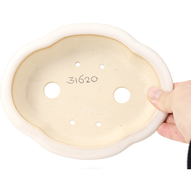 Mokko witte bonsaipot - 175 x 140 x 45 mm