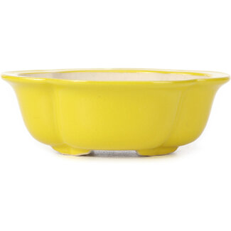 130 mm mokko yellow pot from China