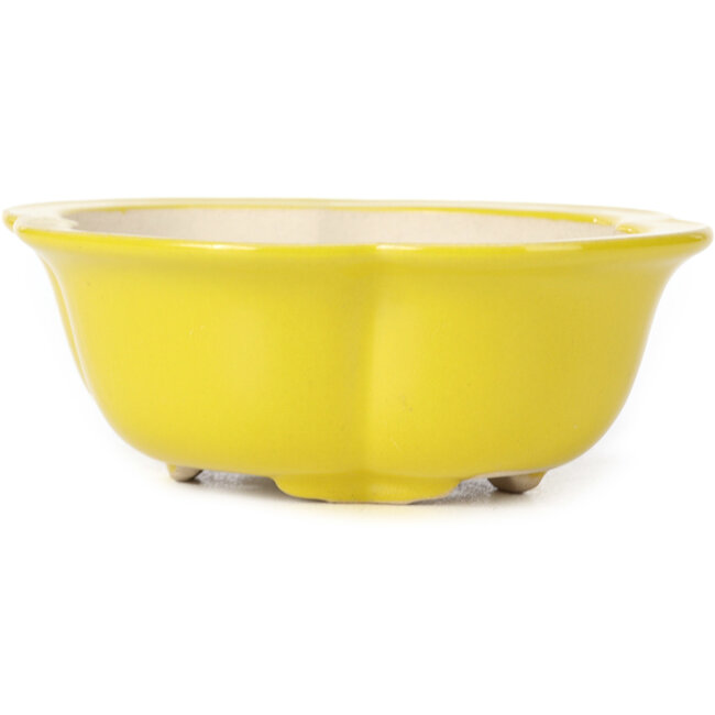 Maceta de bonsái amarilla Mokko - 130 x 115 x 45 mm