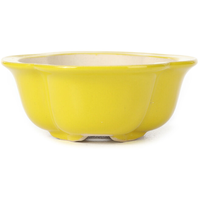 Pot à bonsaï Mokko jaune - 130 x 115 x 45 mm