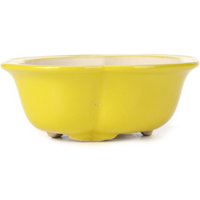 Mokko gele bonsaipot - 130 x 115 x 45 mm