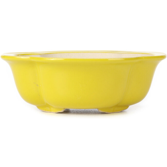 Mokko gele bonsaipot - 130 x 115 x 45 mm