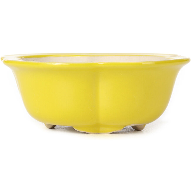 Vaso bonsai Mokko giallo - 130 x 115 x 45 mm