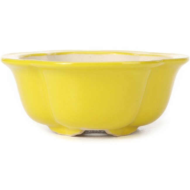 Mokko gele bonsaipot - 130 x 115 x 45 mm