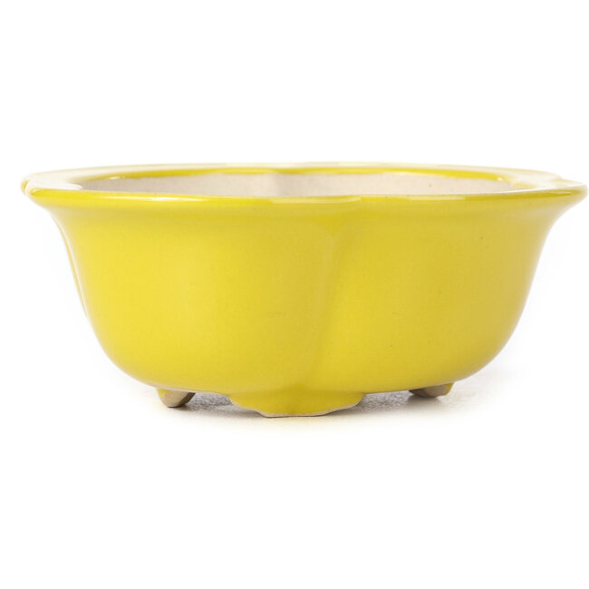 Vaso bonsai Mokko giallo - 130 x 115 x 45 mm