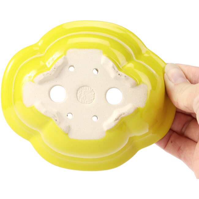 Mokko gelbe Bonsaischale - 130 x 115 x 45 mm