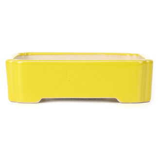 125 mm rectangular yellow pot from China