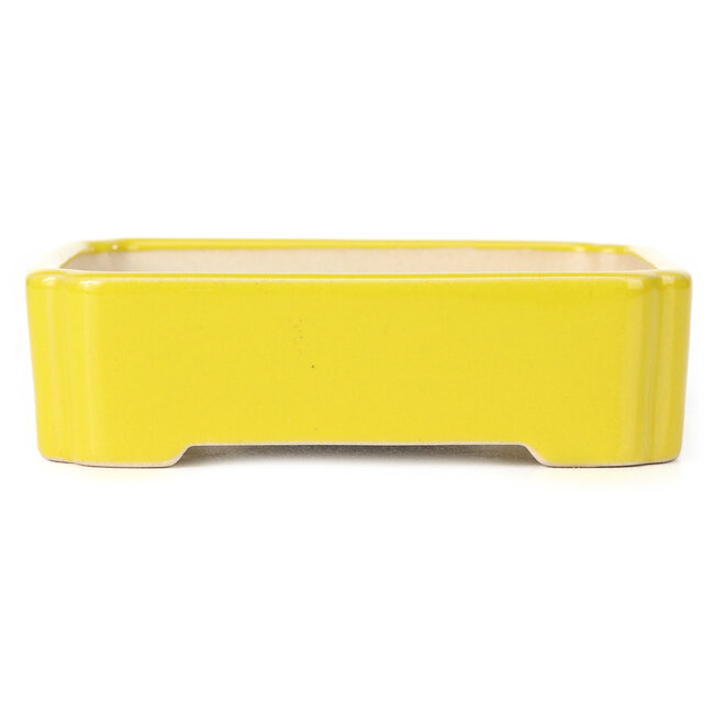 Rechthoekige gele bonsaipot - 125 x 105 x 35 mm