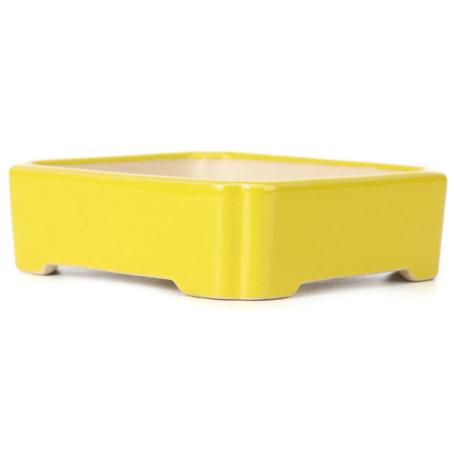 Vaso bonsai giallo rettangolare - 125 x 105 x 35 mm