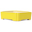 Pot à bonsaï rectangulaire jaune - 125 x 105 x 35 mm