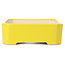 Rechthoekige gele bonsaipot - 125 x 105 x 35 mm