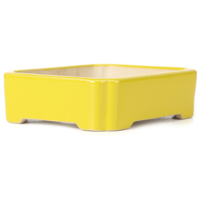 Rectangular yellow bonsai pot - 125 x 105 x 35 mm