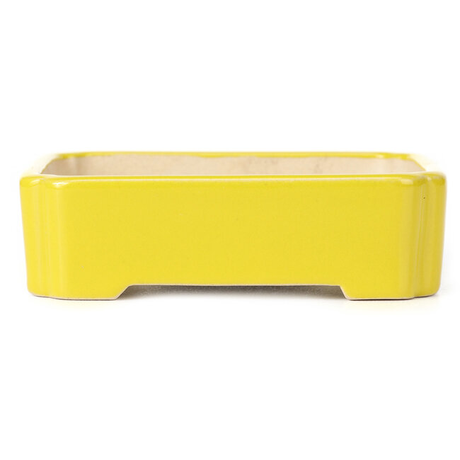 Pot à bonsaï rectangulaire jaune - 125 x 105 x 35 mm