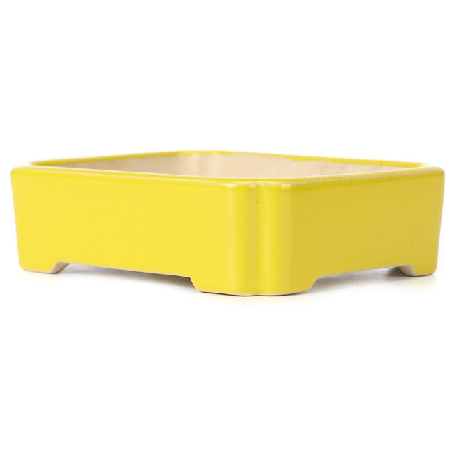 Vaso bonsai giallo rettangolare - 125 x 105 x 35 mm