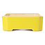 Rechthoekige gele bonsaipot - 125 x 105 x 35 mm