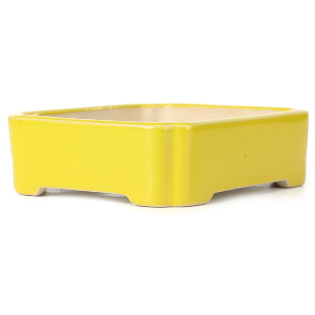 Pot à bonsaï rectangulaire jaune - 125 x 105 x 35 mm