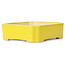 Vaso bonsai giallo rettangolare - 125 x 105 x 35 mm