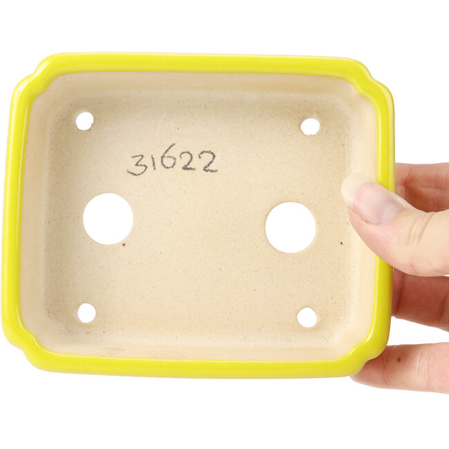 Rectangular yellow bonsai pot - 125 x 105 x 35 mm