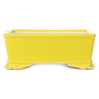 105 mm rectangular yellow pot from China