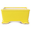 Rectangular yellow bonsai pot - 105 x 80 x 40 mm