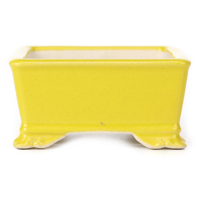 Maceta de bonsái amarilla rectangular - 105 x 80 x 40 mm