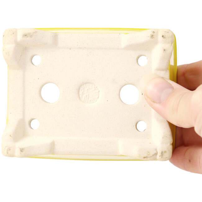 Rectangular yellow bonsai pot - 105 x 80 x 40 mm