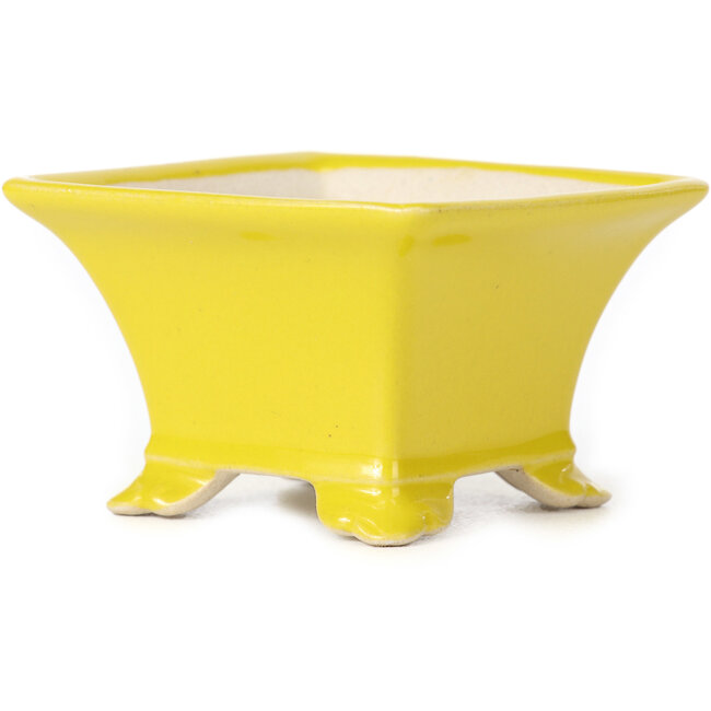 Square yellow bonsai pot - 80 x 80 x 50 mm