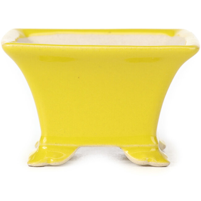 Pot à bonsaï carré jaune - 80 x 80 x 50 mm