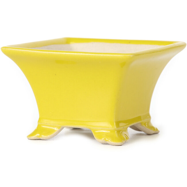 Maceta de bonsái amarilla cuadrada - 80 x 80 x 50 mm