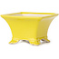 Vierkante gele bonsaipot - 80 x 80 x 50 mm
