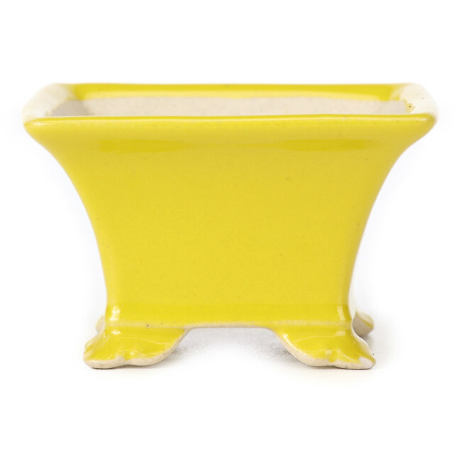 Maceta de bonsái amarilla cuadrada - 80 x 80 x 50 mm
