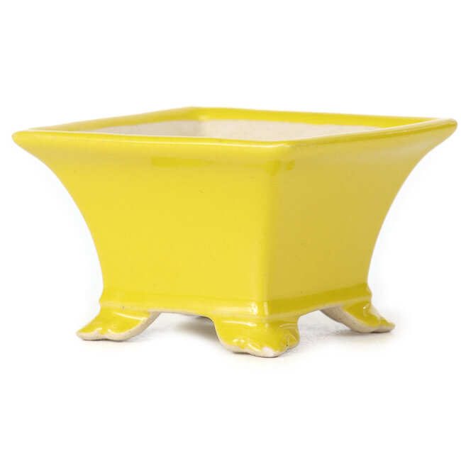 Vaso bonsai quadrato giallo - 80 x 80 x 50 mm