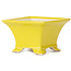 Vierkante gele bonsaipot - 80 x 80 x 50 mm
