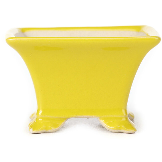 Pot à bonsaï carré jaune - 80 x 80 x 50 mm