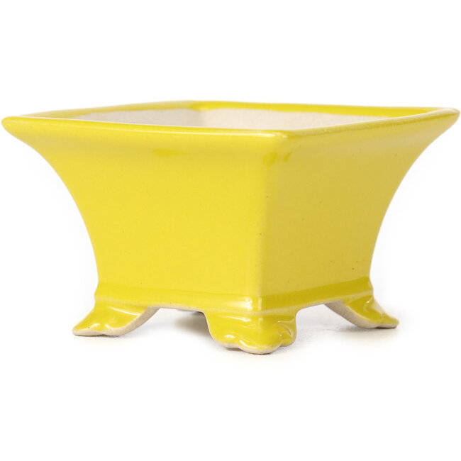 Vaso bonsai quadrato giallo - 80 x 80 x 50 mm