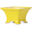 Vierkante gele bonsaipot - 80 x 80 x 50 mm